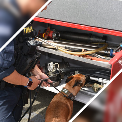 Detection and deterrence